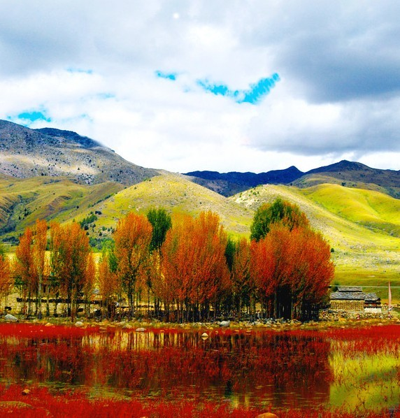[泉之韻]四川省甘孜景區稻城紅草地背景音樂